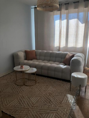Appartement cosy en hyper-centre